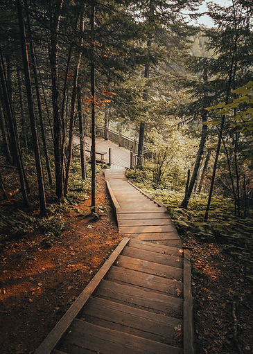 Image de Josh Hild