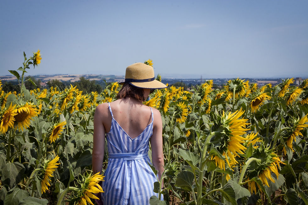 Summer Sewing Projects sundress
