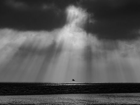 Poetry: Angels I know