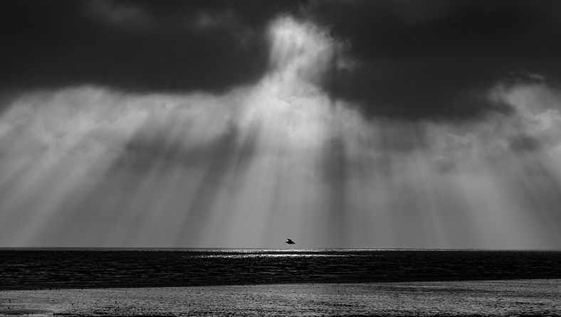 Image by Zoltan Tasi