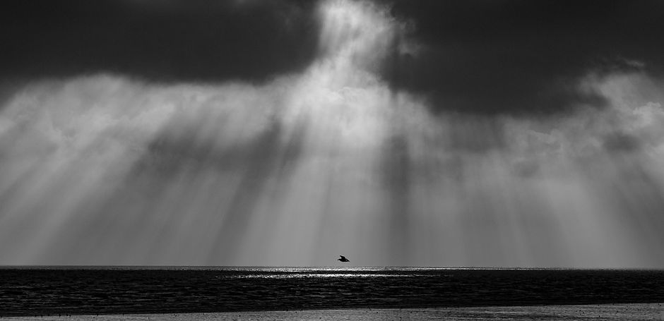 Image de Zoltan Tasi