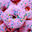Photo du rédacteur: Pink Pepper