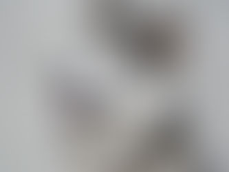 В Подмосковье маламут загрыз младенца