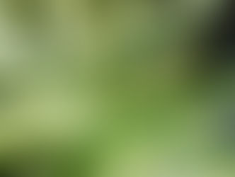 ADHD and Stimming: The Overlooked Self-Regulation Tool