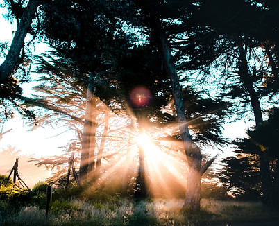 Freiluftgefluester_Hypnose_Coaching_Hannover_Image by Casey Horner