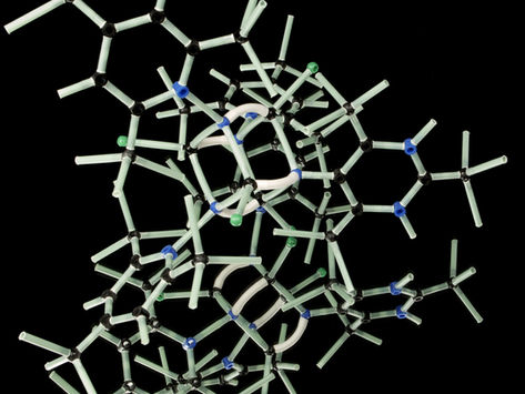 How about Nanobiotechnology?
