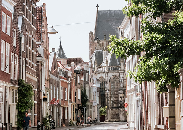 Bild von Michele Henderson