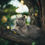 Thumbnail: The British Shorthair eBook- british shorthair breeders - british shorthair cost