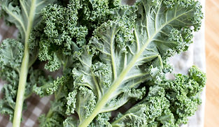 kale on a kitchen towel