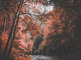 Image by Ju On