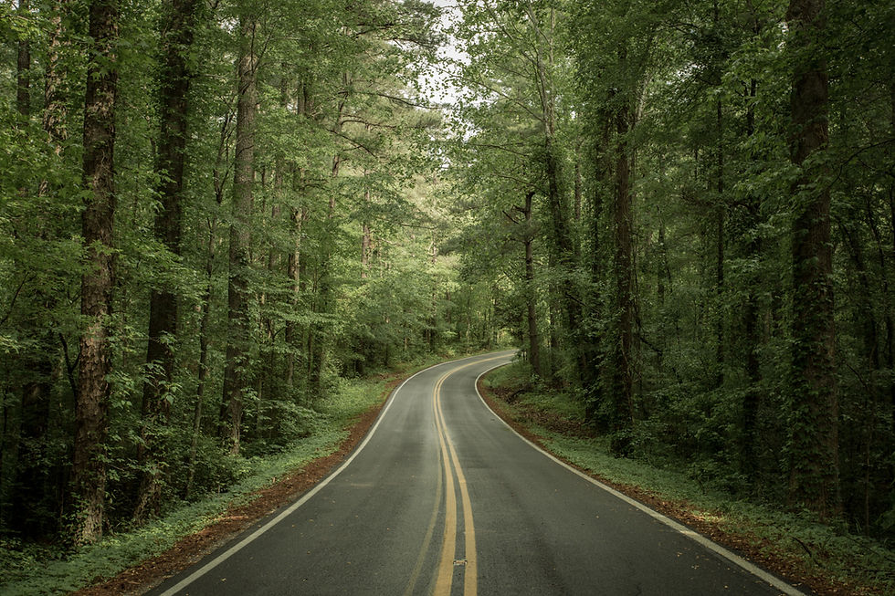 Tennessee Advanced Healthcare Directives
