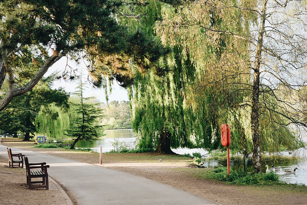 Roath Park lake in Cardiff