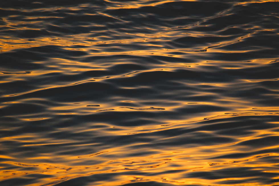 Image by Jossef Hab