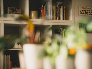 A home bookshelf with plants in front