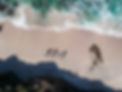 Drone family portrait at beach for creative portrait idea suggestion