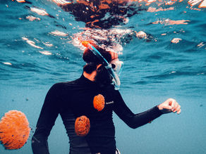 Best Swim Hand Paddles for Training 2025 (Tested by a World Championship Swimmer)