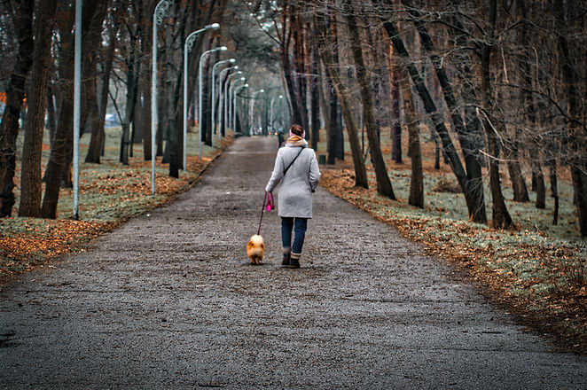 Image by Alex Belogub