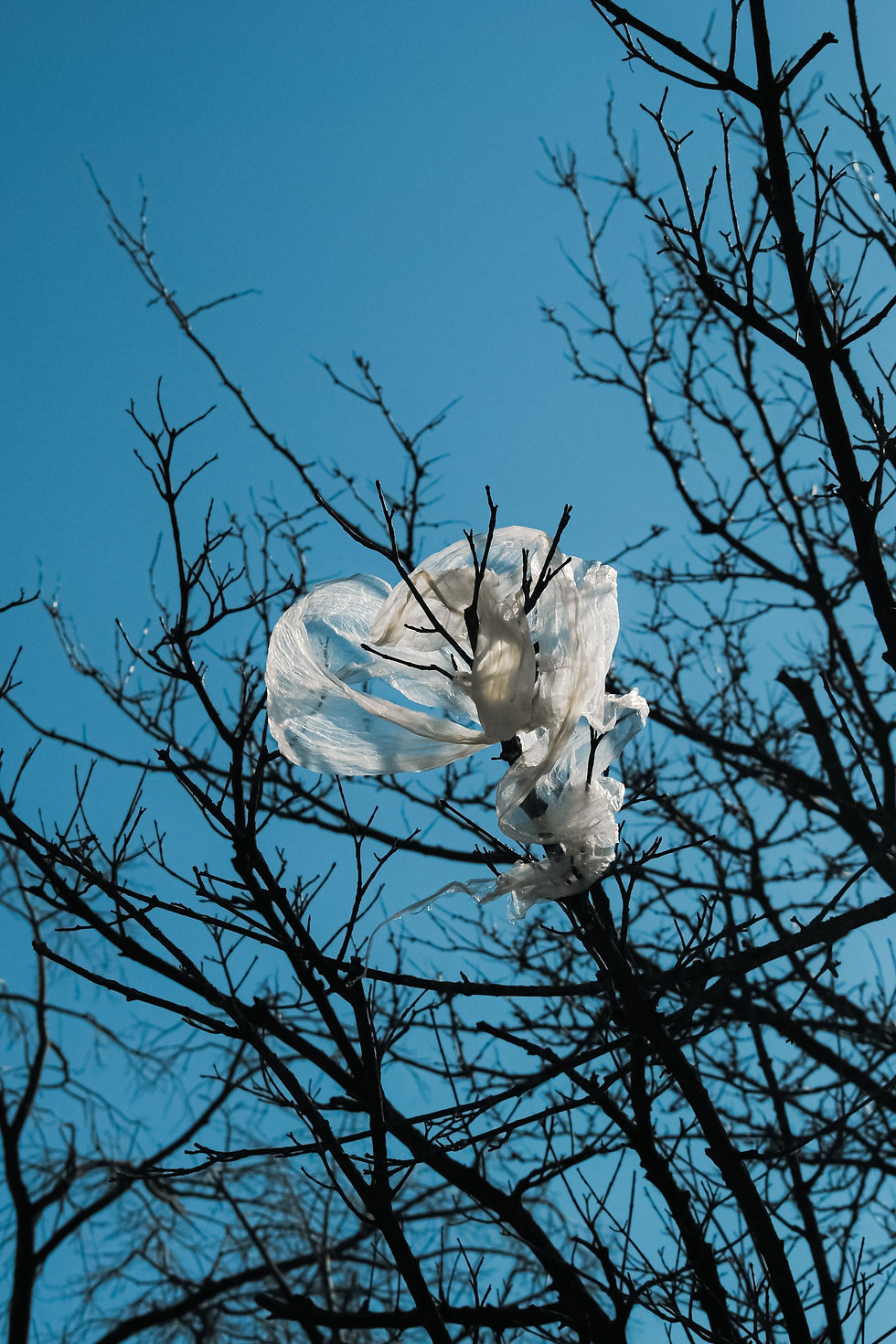 UN treaty on plastic pollution
