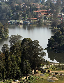 Madurai Rameswaram Kanyakumari Kodaikanal tour blending coastal temples and misty hill landscapes