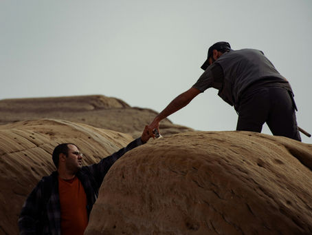 Why Working With a Visa Consultant Can Save You Thousands