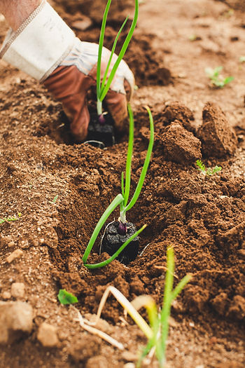 The Intersection of Agriculture & Industrial Water Filtration
