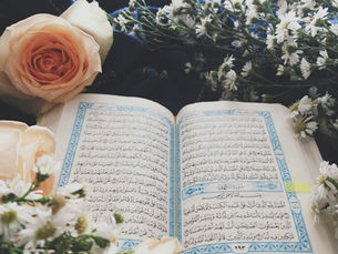 The guide you can always trust