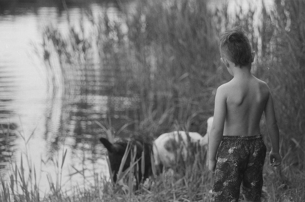 Image by Kaspars Eglitis