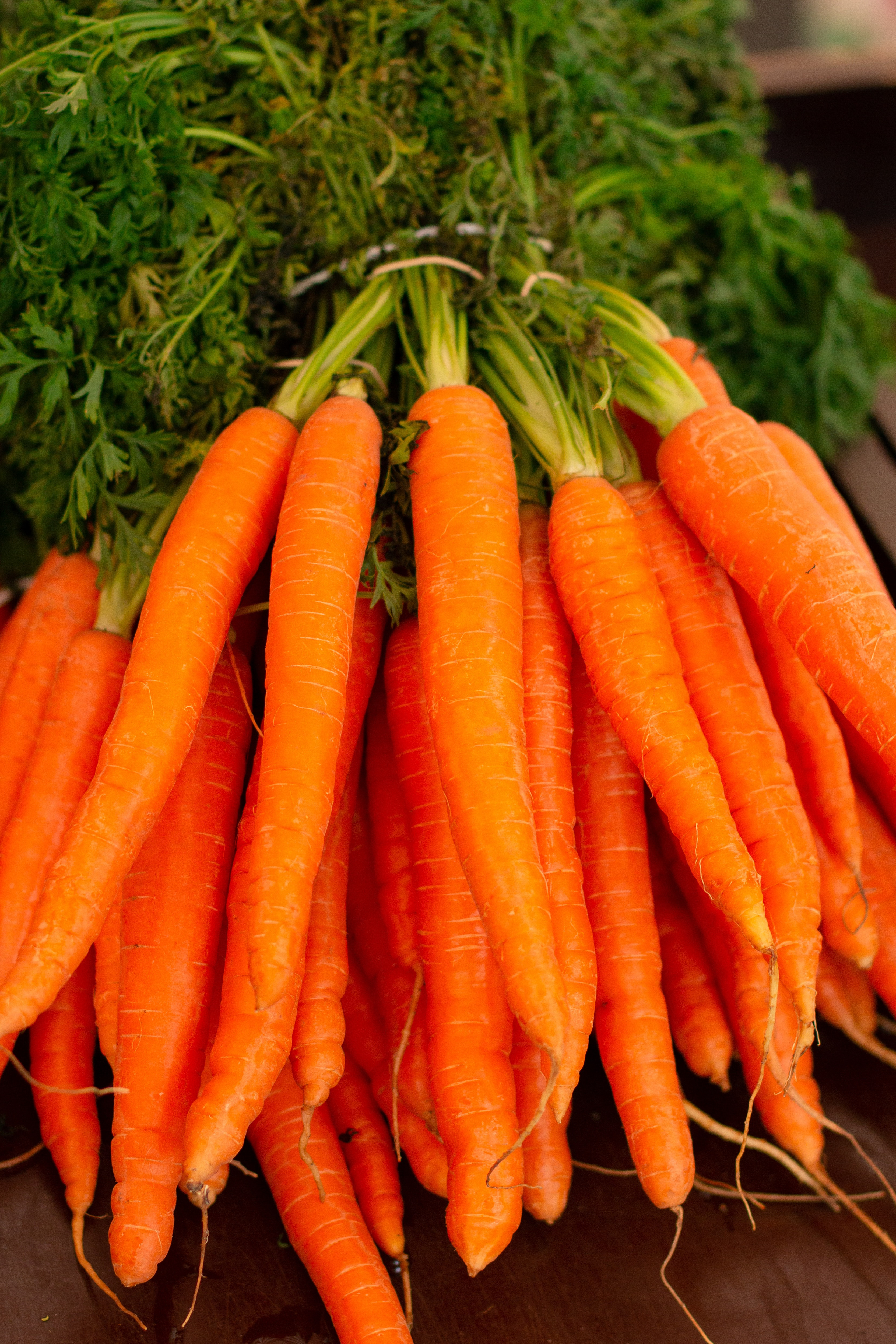 Mini carrots with tops
