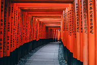 Image by Lin Mei