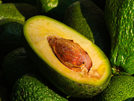 Avocado Industry Trials Ripeness Scanner to Improve Quality