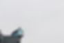 Bolsa de Investigação para Mestre - Ciências Sociais e Humanas