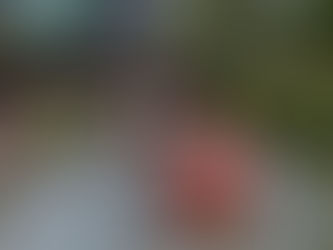 LGBTQ colors representing LGBTQ families