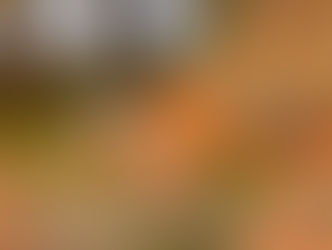 Latinx Best Seller List – October 2021