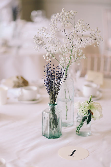 Image by Photos by Lanty