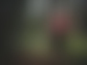 Why Don’t I Look Like I Work Out?