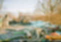 Image by Jake Johnson