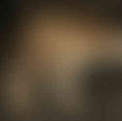 Lion observed on a short Tanzania safari, showing realistic predator sightings possible on a 2-day