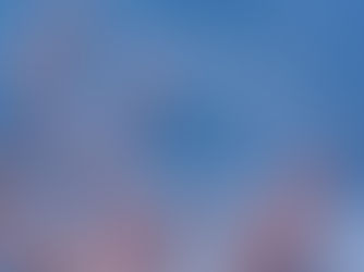 flowering tree branches and blue sky in background