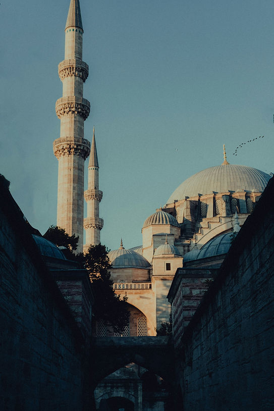 Image by Bechir Kaddech