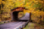 Covered Bridge in Bucks County PA