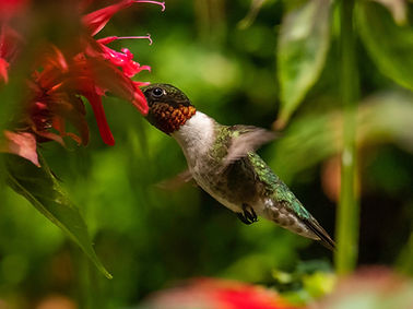 Image by Jeremy Hynes
