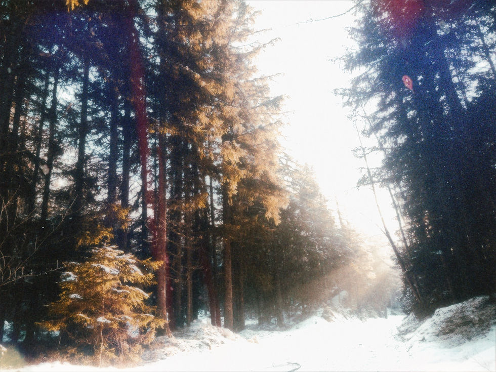 Image by Jonathan Ansel Moy de Vitry