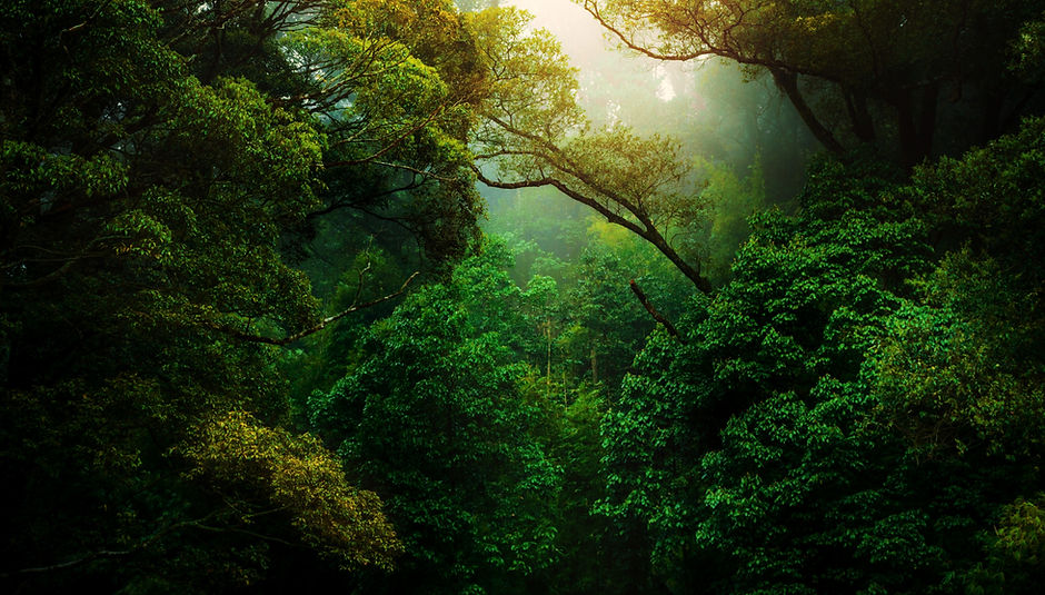 Image by Kunal Shinde