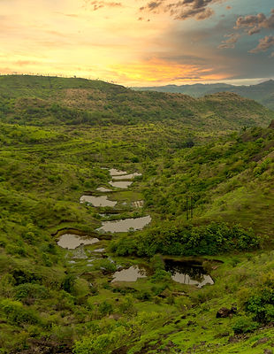 Natuur in India