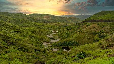 Image by Krish Chandran