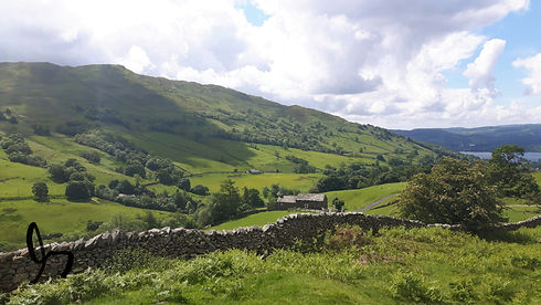 Image by Cas Holmes