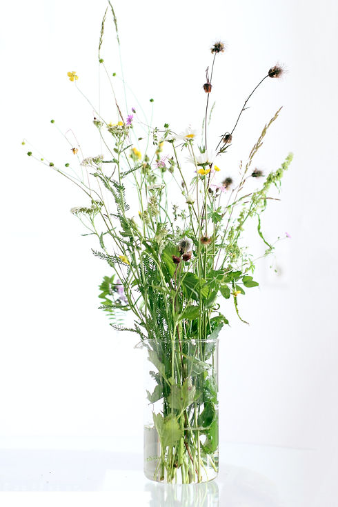 Image by Katrin Hauf