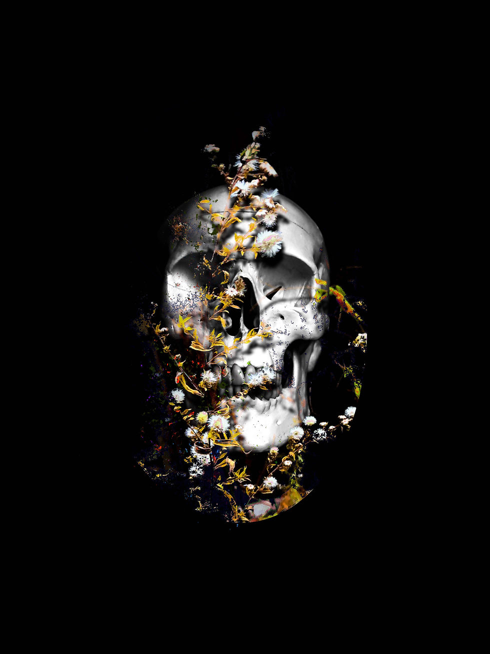 Create Your Own Memento Mori