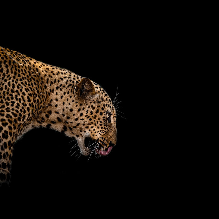Image by Ajeet Panesar