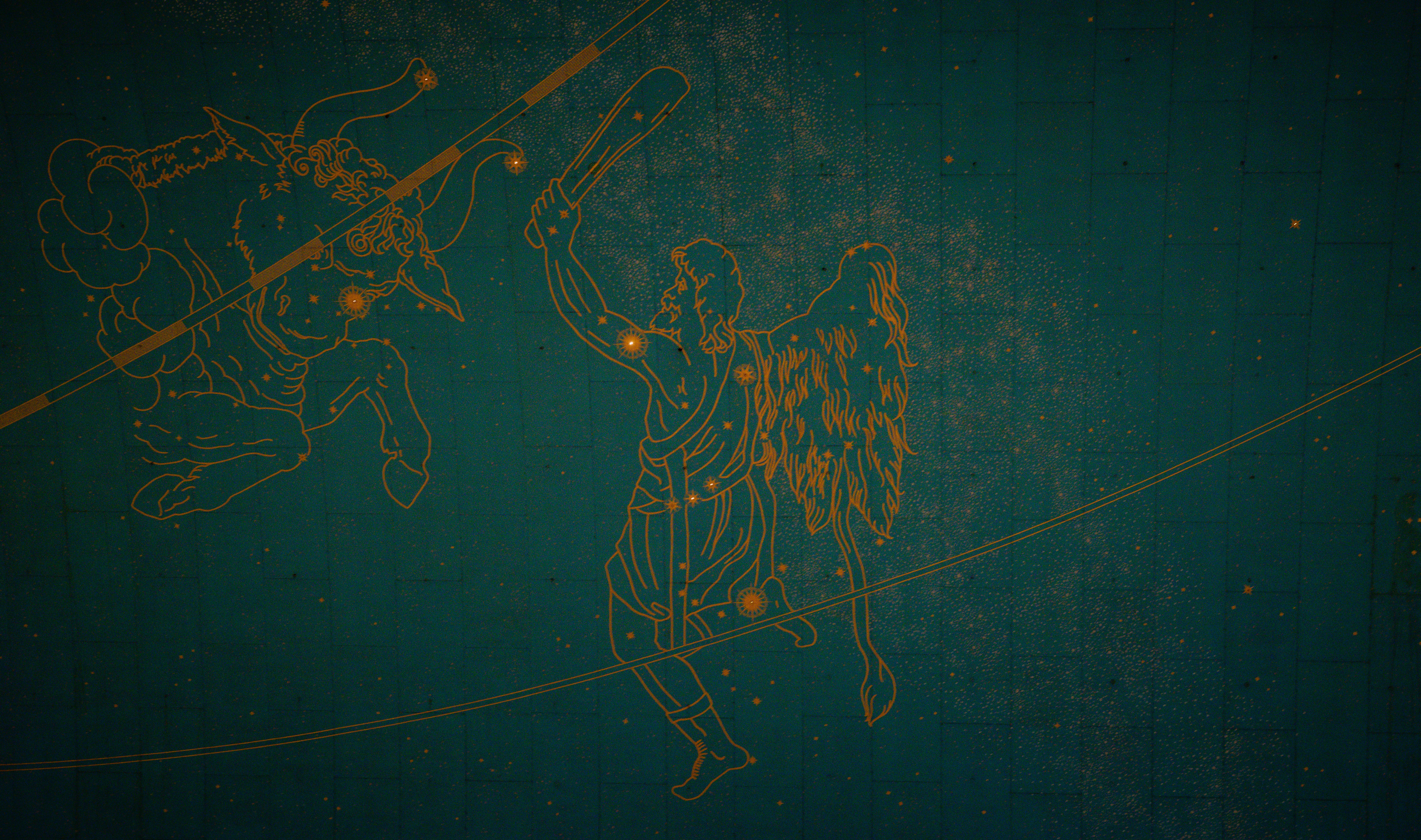 Arranged Food and Objects